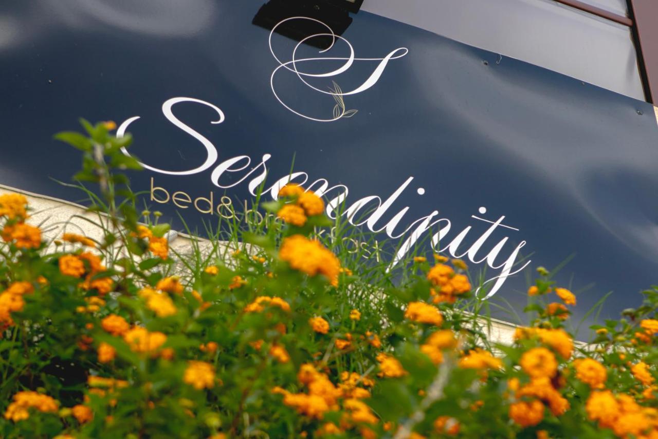 Serendipity B&B Messina Exterior photo